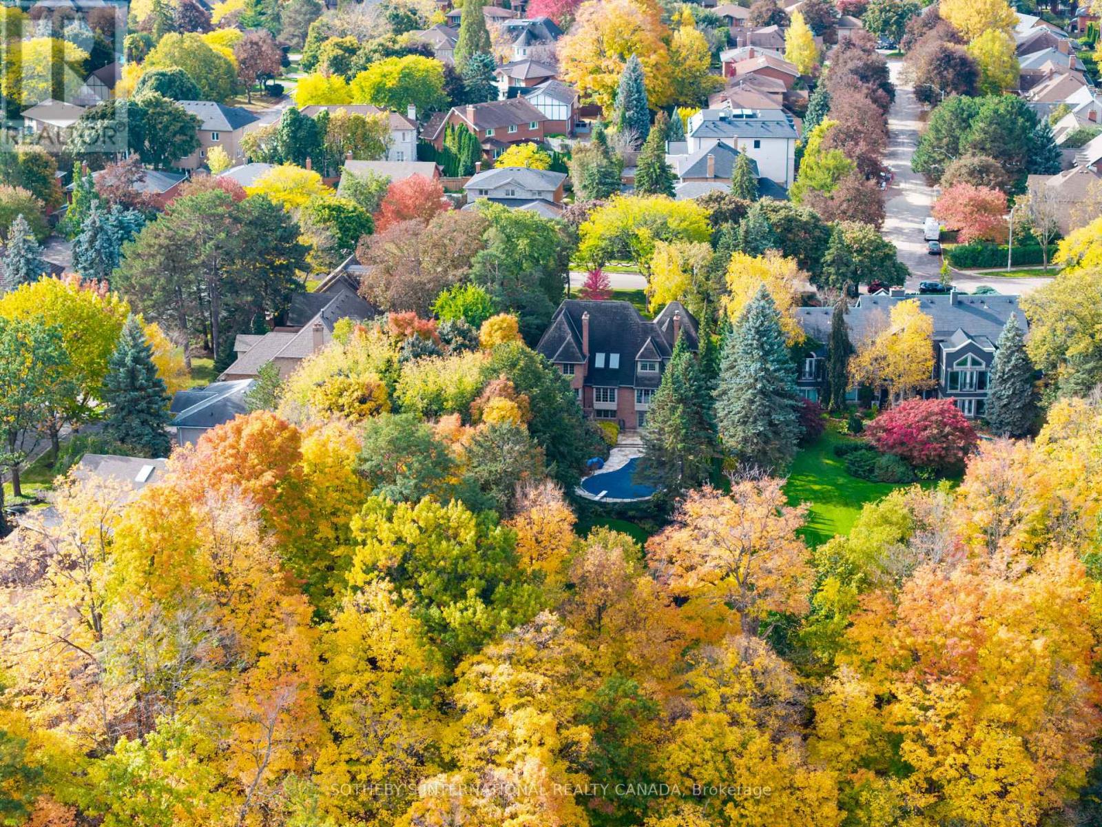 4207 Bridlepath Trail, Mississauga, Ontario  L5L 3K3 - Photo 49 - W12694604