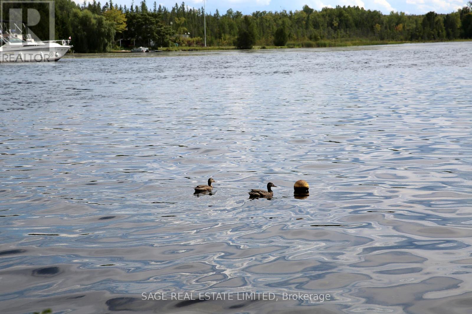 35 North Water Street, Kawartha Lakes, Ontario  K0M 1K0 - Photo 6 - X12381705