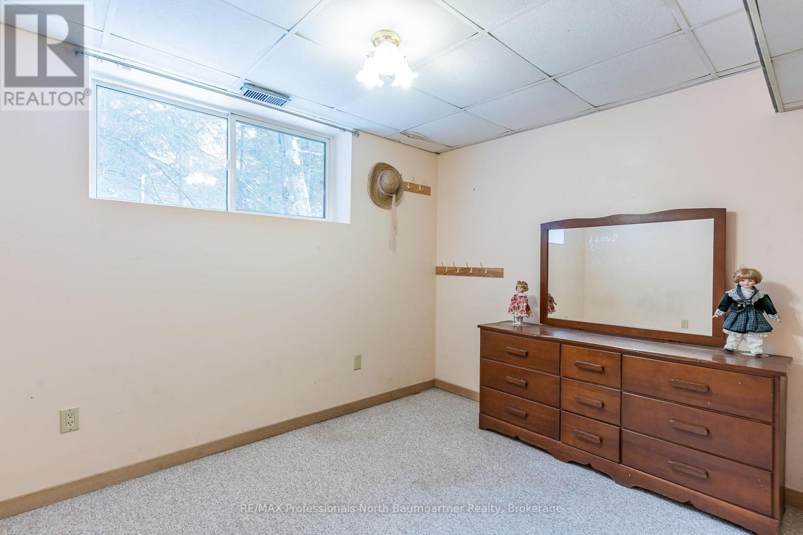 1015 Blackberry Lane, Minden Hills, Ontario  K0M 2K0 - Photo 37 - X12694894