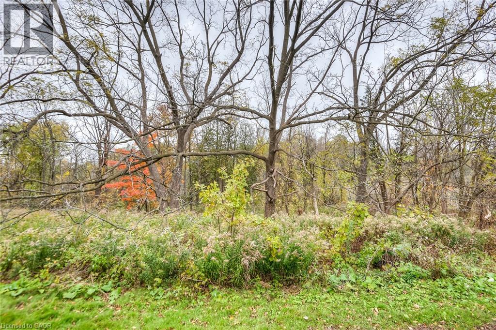 4 Avalon Place Unit# 103, Kitchener, Ontario  N2M 4N6 - Photo 10 - 40798357