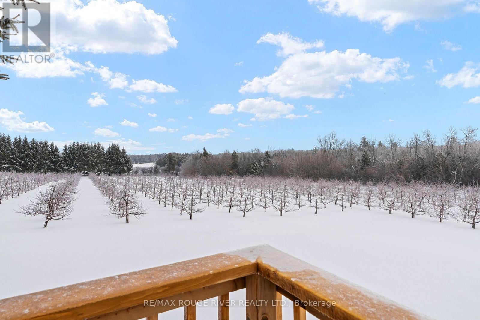 223 Turk Road, Alnwick/haldimand, Ontario  K0K 2G0 - Photo 33 - X12695284