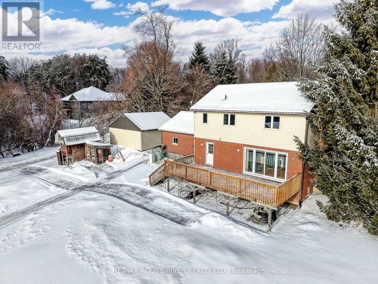 223 Turk Road, Alnwick/haldimand, Ontario  K0K 2G0 - Photo 35 - X12695284