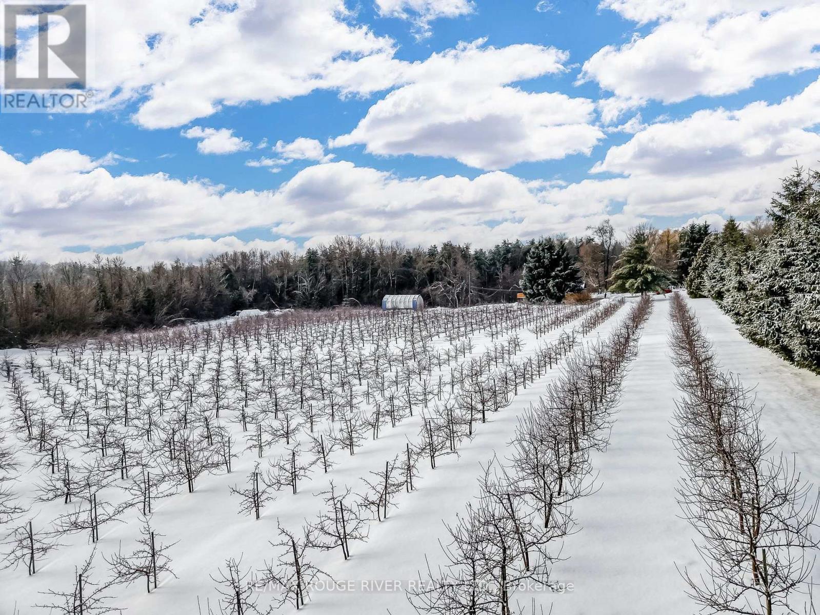 223 Turk Road, Alnwick/haldimand, Ontario  K0K 2G0 - Photo 38 - X12695284