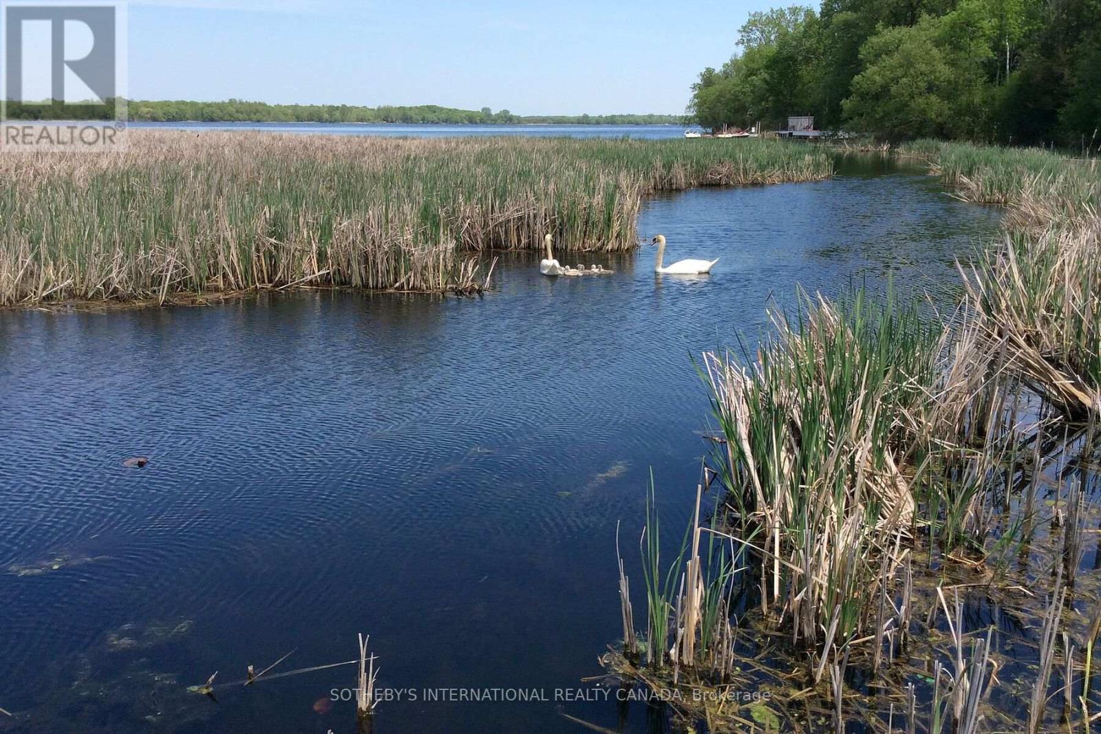 2691 County 15 Road, Prince Edward County, Ontario  K0K 2T0 - Photo 27 - X12694814