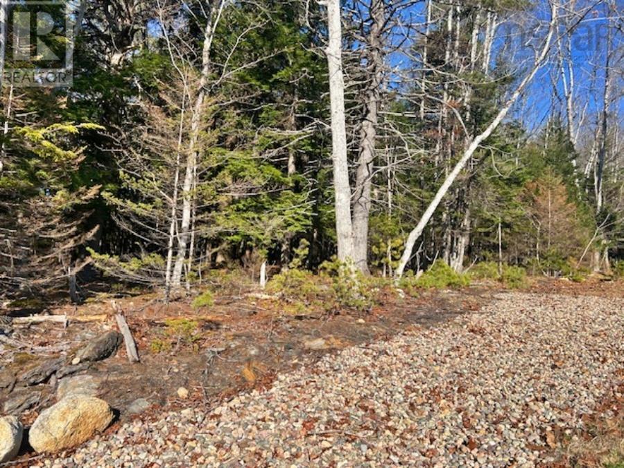 144 Winburn Avenue, Northwood Estates, Bridgewater, Nova Scotia  B4V 3S9 - Photo 19 - 202528859