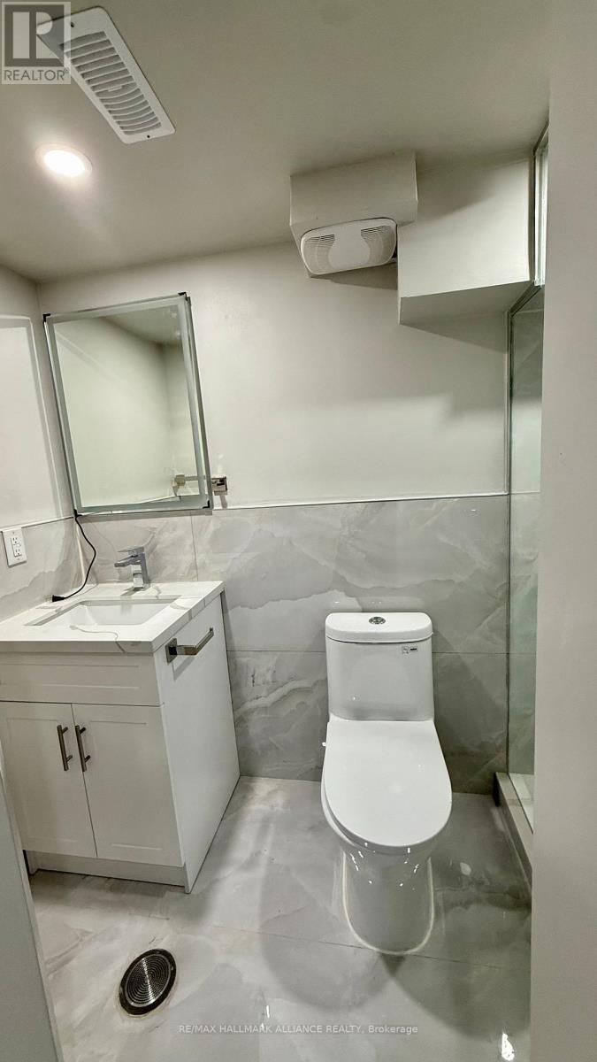 Basement - 7 Avanti Crescent, Hamilton, Ontario  L8B 1W7 - Photo 12 - X12695136