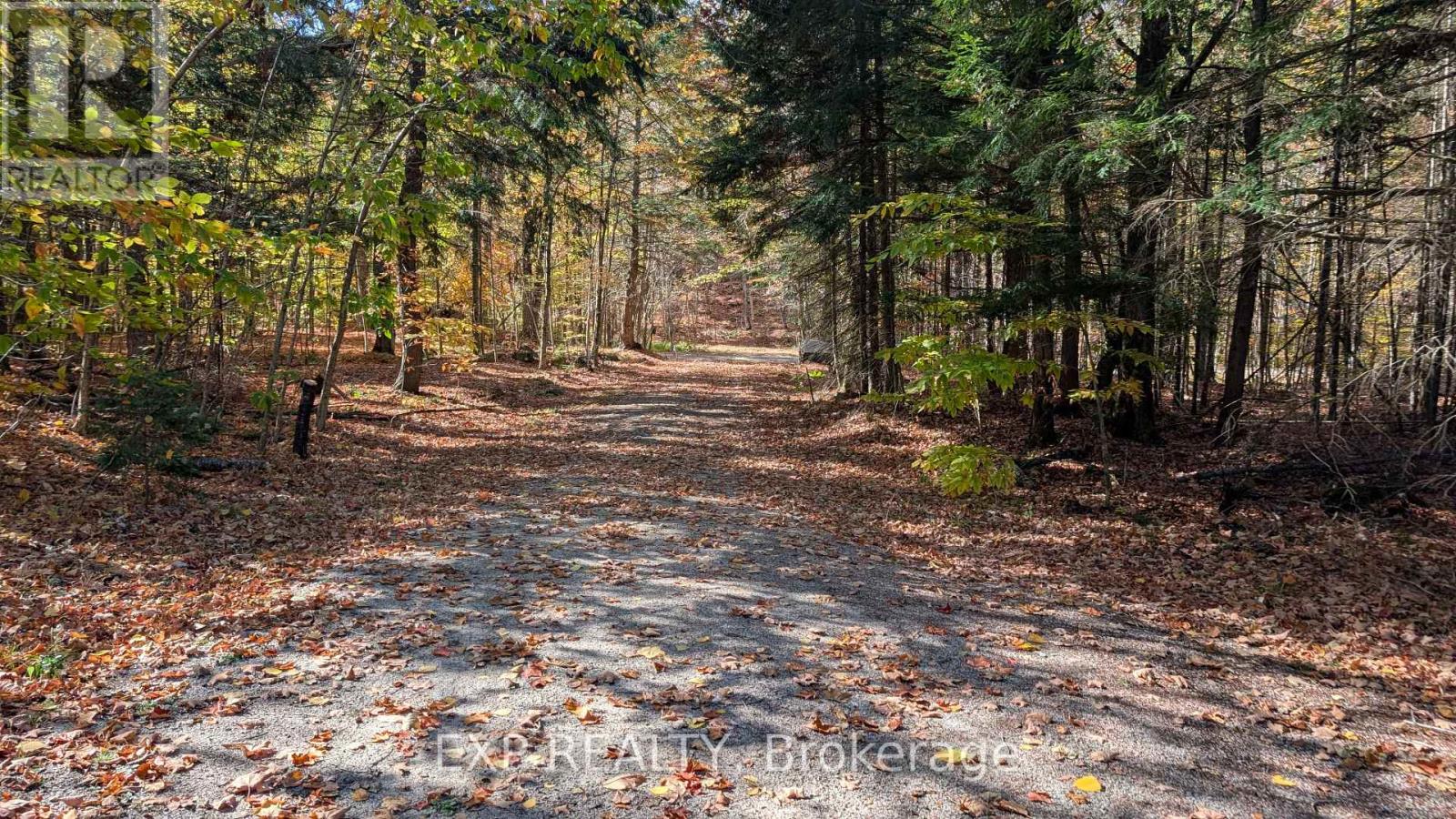 195 Maple Ridge Lane, Wollaston, Ontario  K0L 1P0 - Photo 28 - X12695356