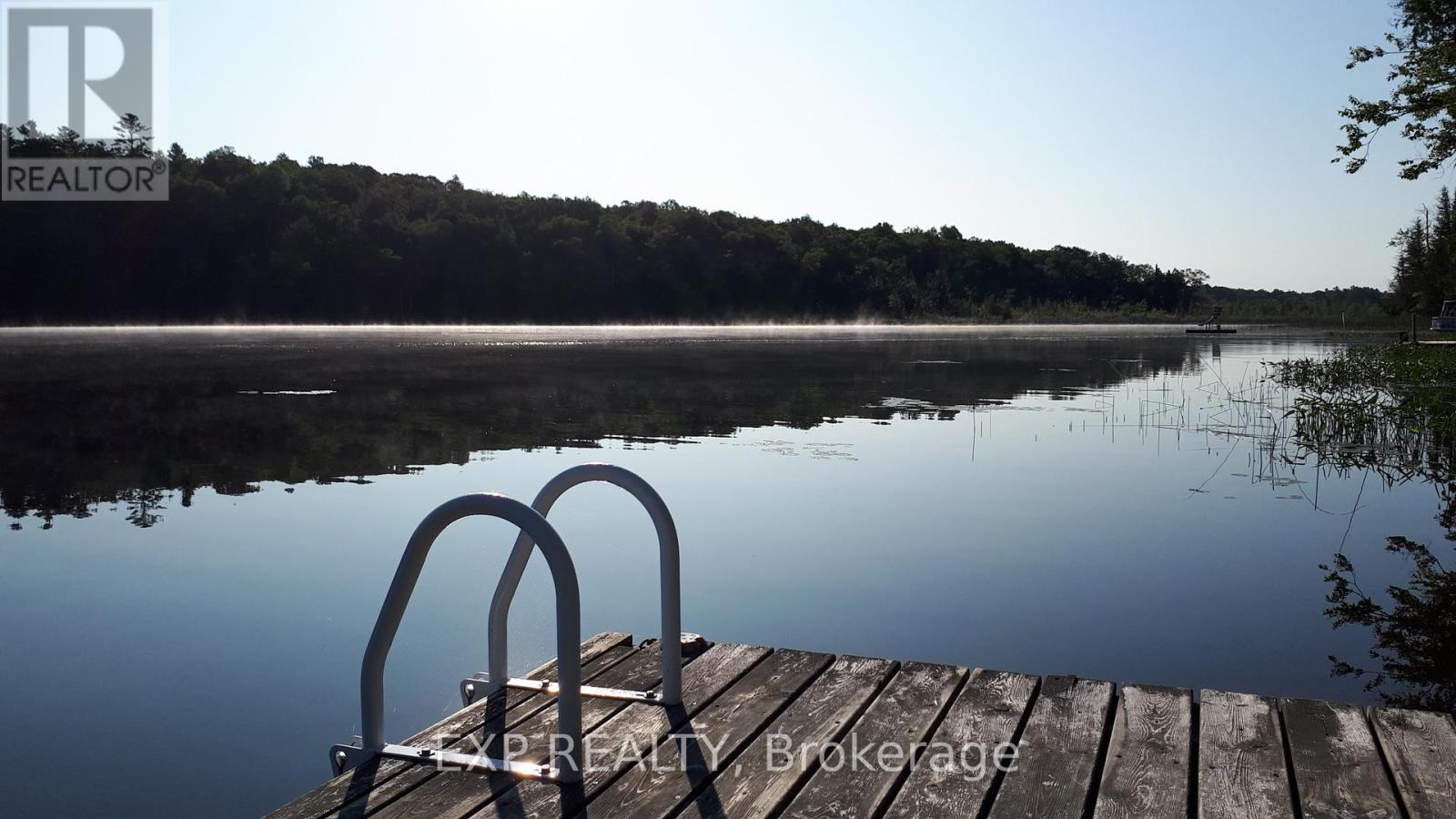 195 Maple Ridge Lane, Wollaston, Ontario  K0L 1P0 - Photo 36 - X12695356