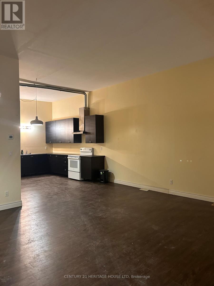 Lower - 11 Hiawatha Street, St. Thomas, Ontario  N5P 2S8 - Photo 5 - X12695674