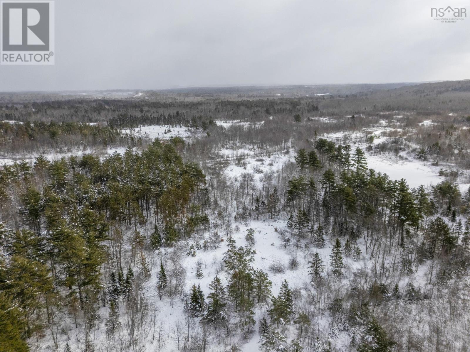 Lot Vendora Drive, Nictaux, Nova Scotia  B0S 1P0 - Photo 10 - 202600776