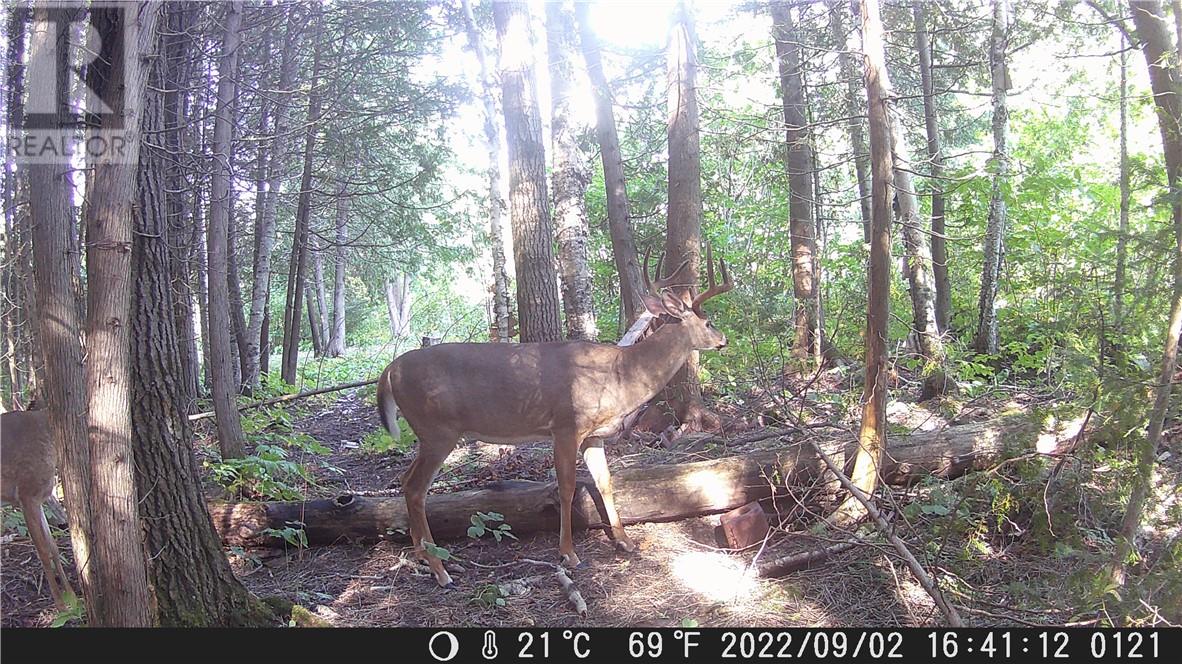 Lot 0 Whitewater, Azilda, Ontario  P0M 1B0 - Photo 39 - 2126081