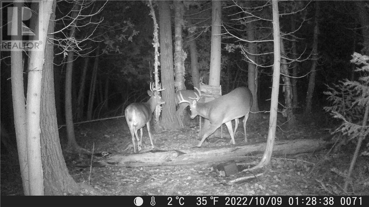 Lot 0 Whitewater, Azilda, Ontario  P0M 1B0 - Photo 40 - 2126081