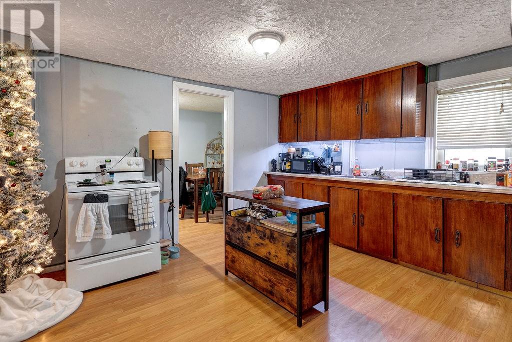 197 St.george Street, Greater Sudbury, Ontario  P3C 2W9 - Photo 11 - 2125998