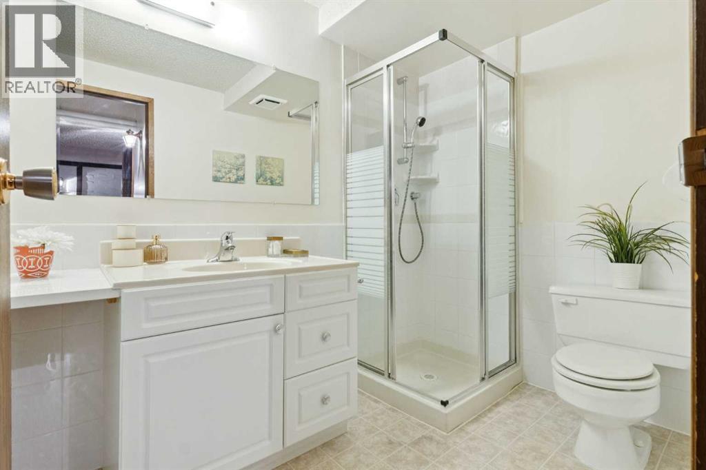 3221 Cedarille Drive Sw, Calgary, Alberta  T2W 2N2 - Photo 30 - A2270669