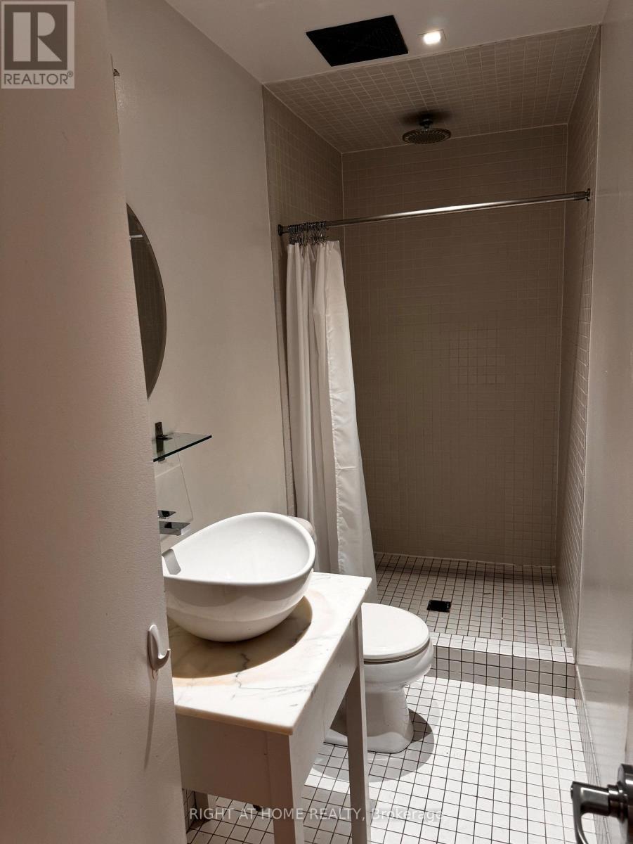 305 - 32 Stewart Street, Toronto (Waterfront Communities), Ontario  M5V 1H6 - Photo 11 - C12695810