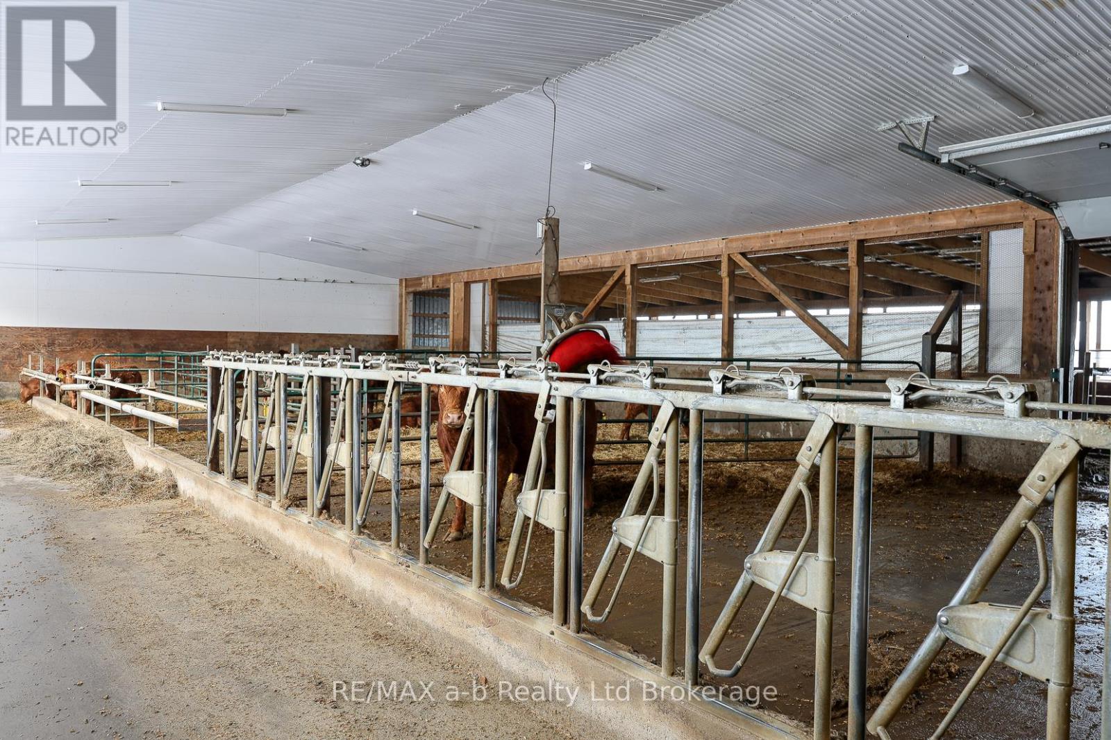 533968 Cedar Line, Norwich, Ontario  N0J 1C0 - Photo 37 - X12695934