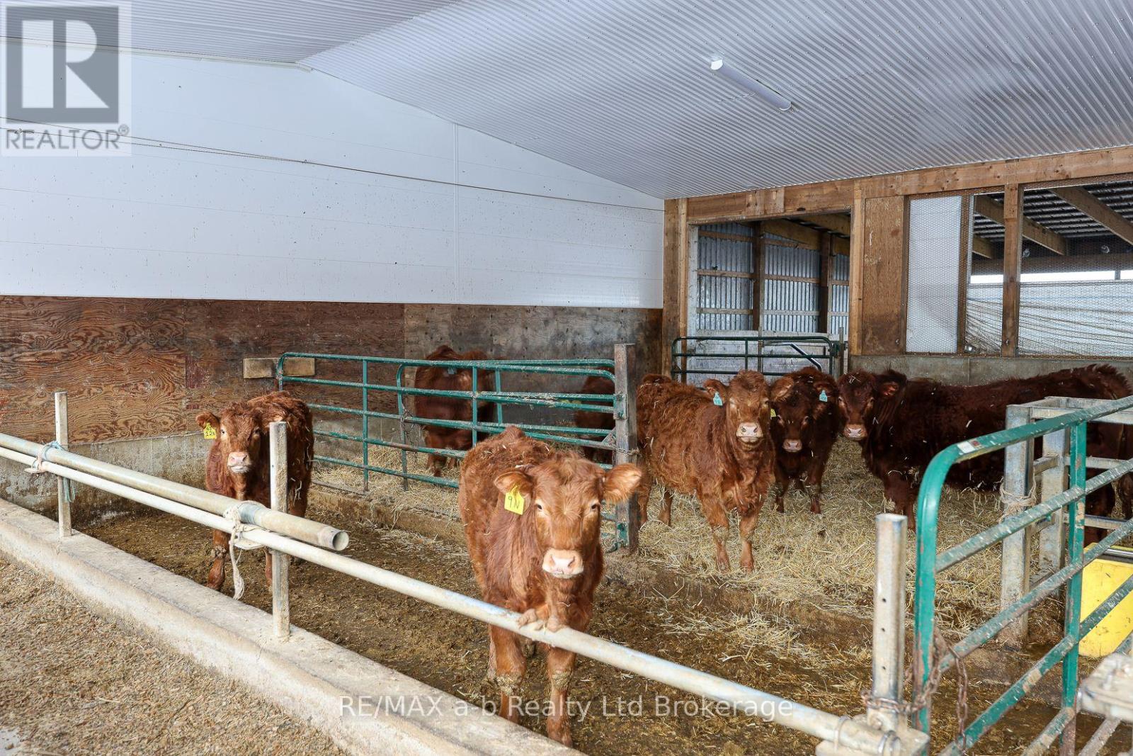 533968 Cedar Line, Norwich, Ontario  N0J 1C0 - Photo 38 - X12695934