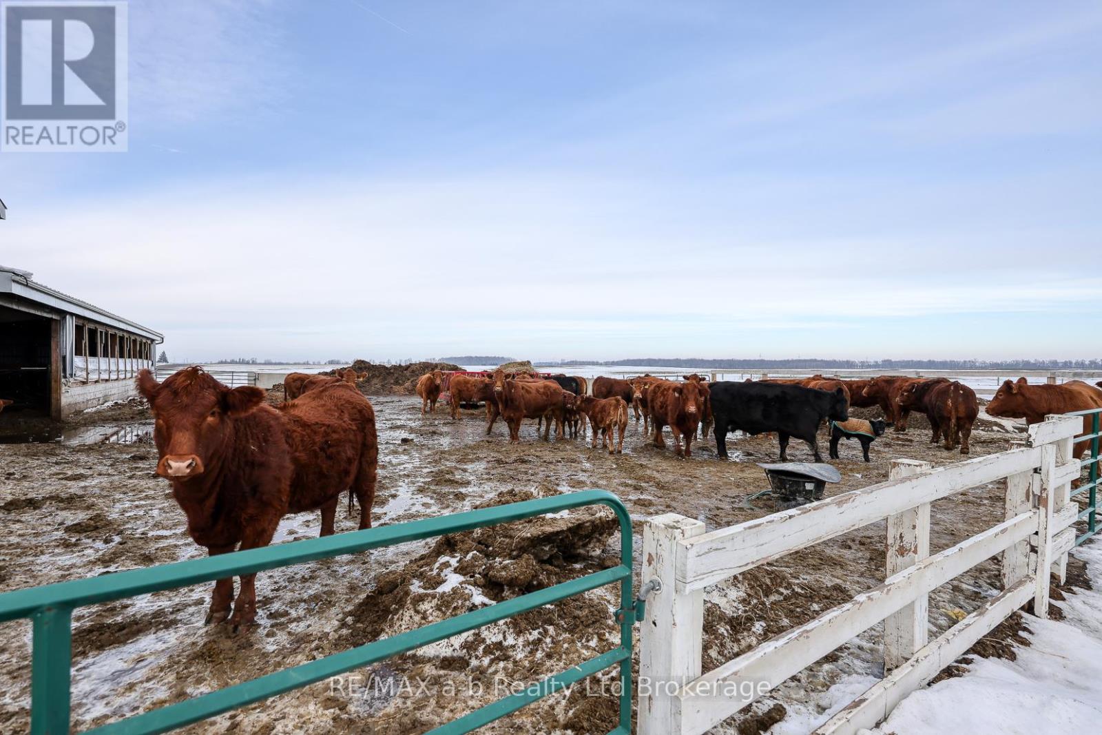 533968 Cedar Line, Norwich, Ontario  N0J 1C0 - Photo 40 - X12695934