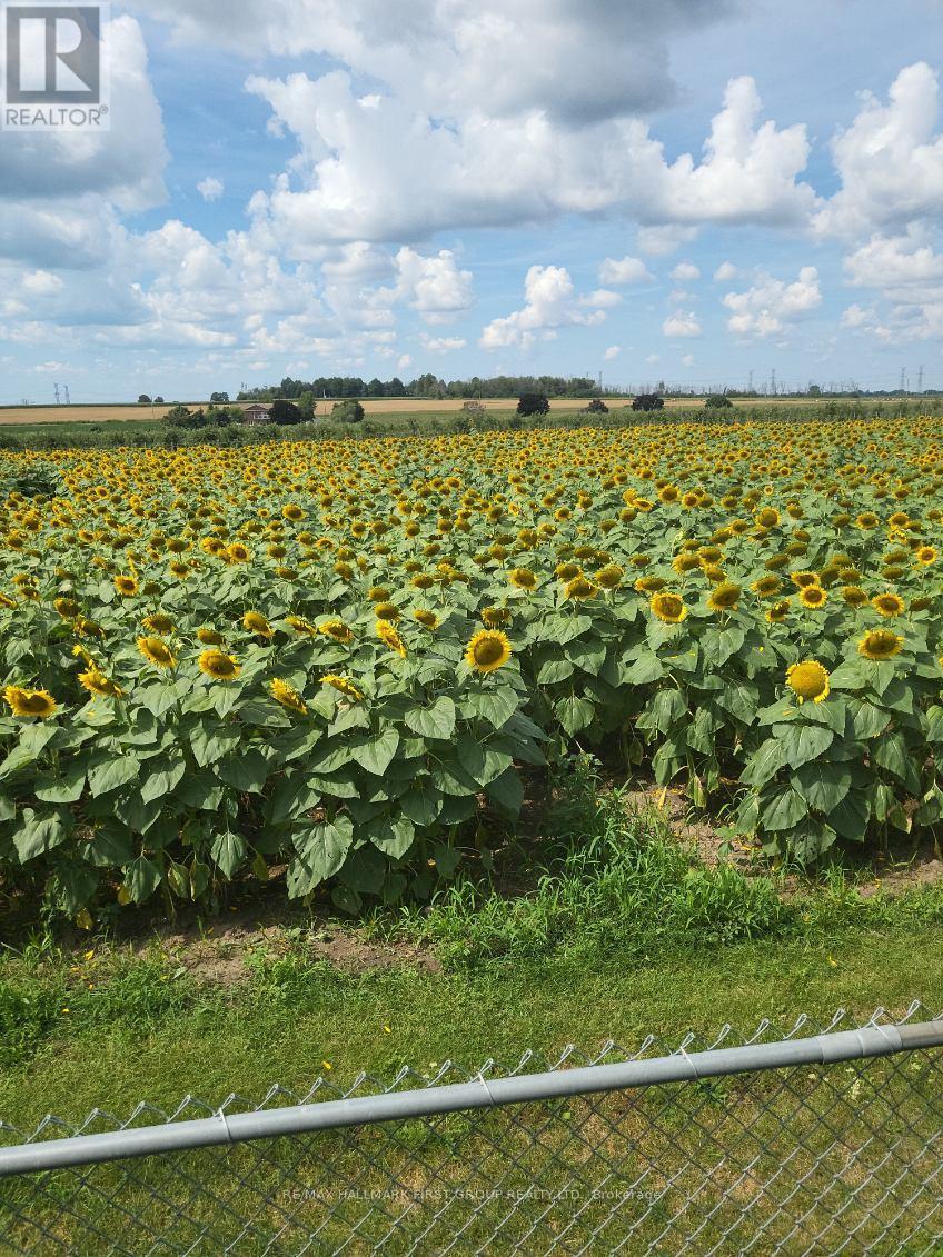 188 Padfield Drive, Clarington, Ontario  L1C 5H7 - Photo 4 - E12695900