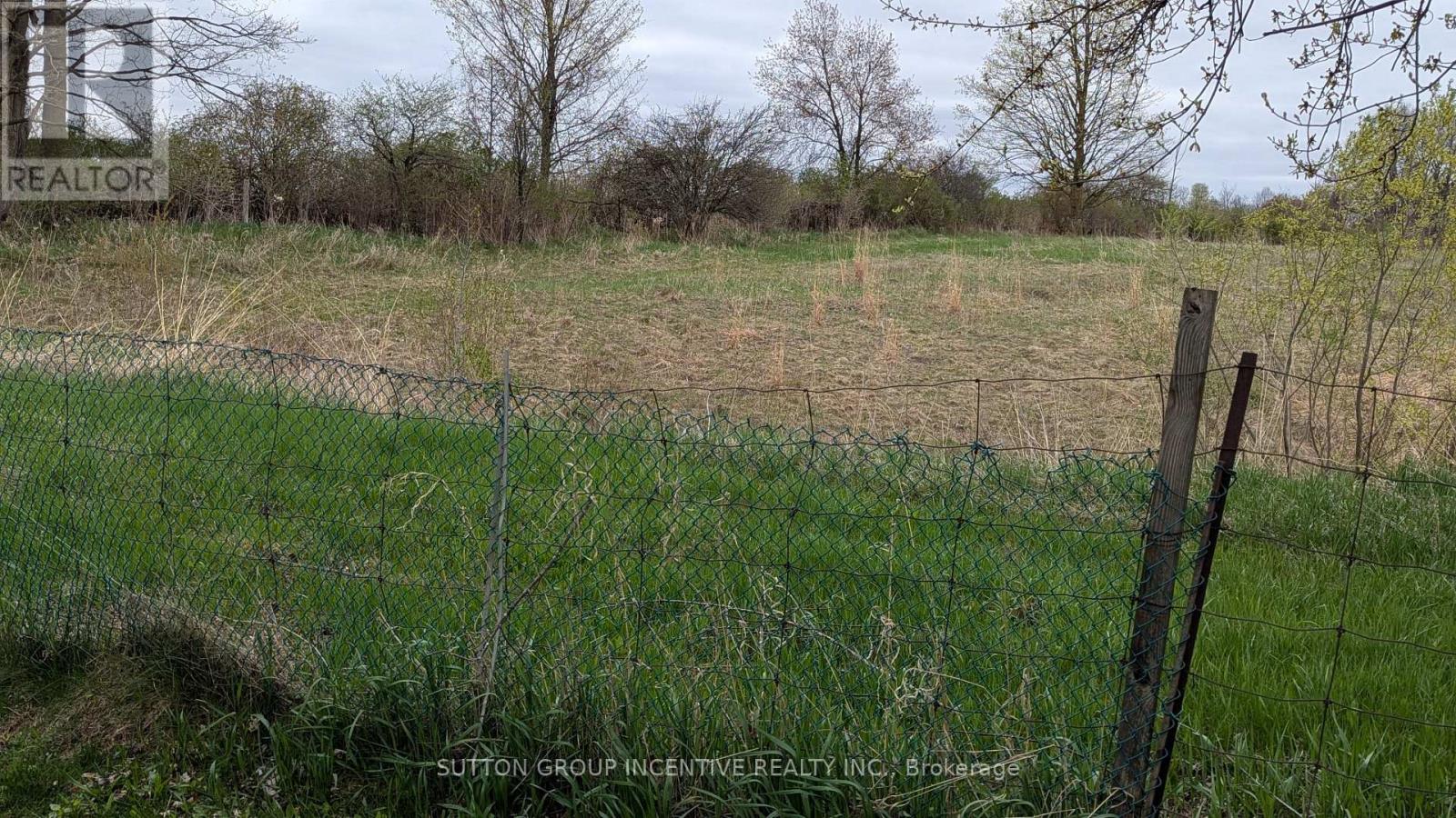 49 Royal Oak Drive, Innisfil, Ontario  L0L 1L0 - Photo 11 - N12695994