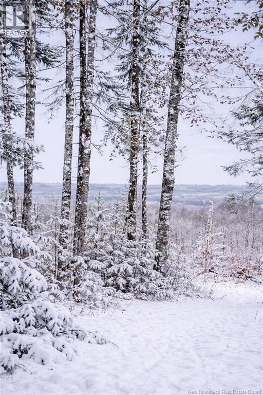 2016-2 Tay River, Tay Valley, New Brunswick  E6B 1P6 - Photo 12 - NB132019