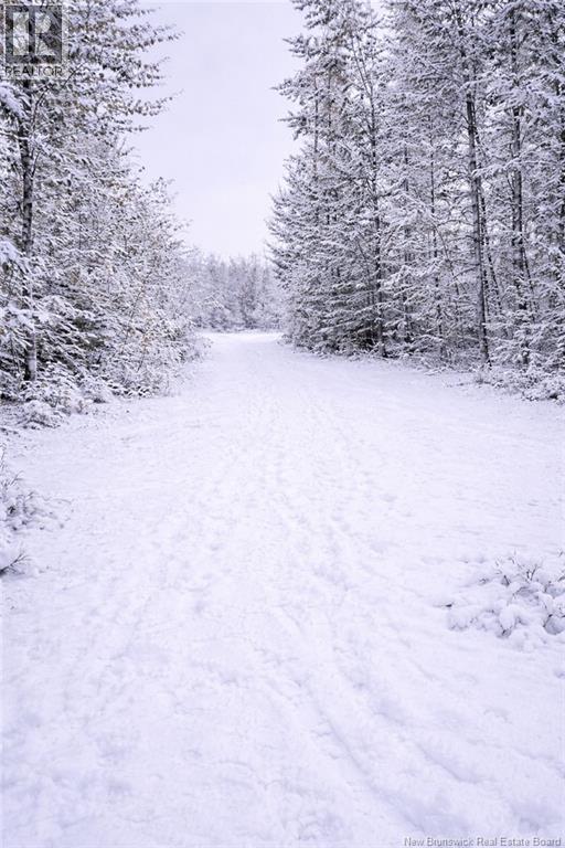 2016-2 Tay River, Tay Valley, New Brunswick  E6B 1P6 - Photo 11 - NB132019