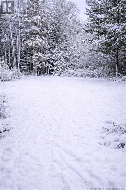 2016-2 Tay River, Tay Valley, New Brunswick  E6B 1P6 - Photo 10 - NB132019