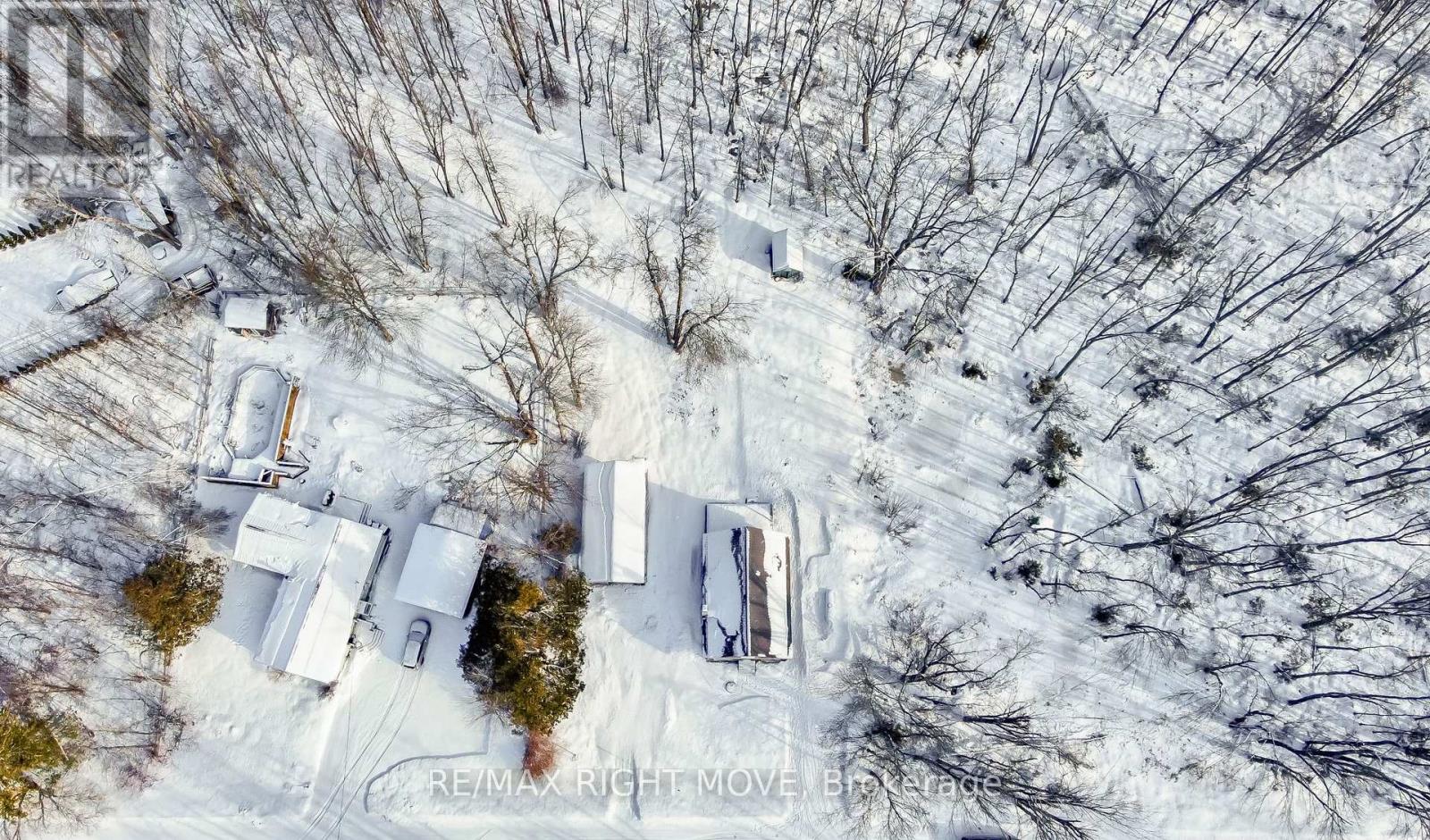 3543 Peter Street, Ramara, Ontario  L0K 1B0 - Photo 6 - S12695960