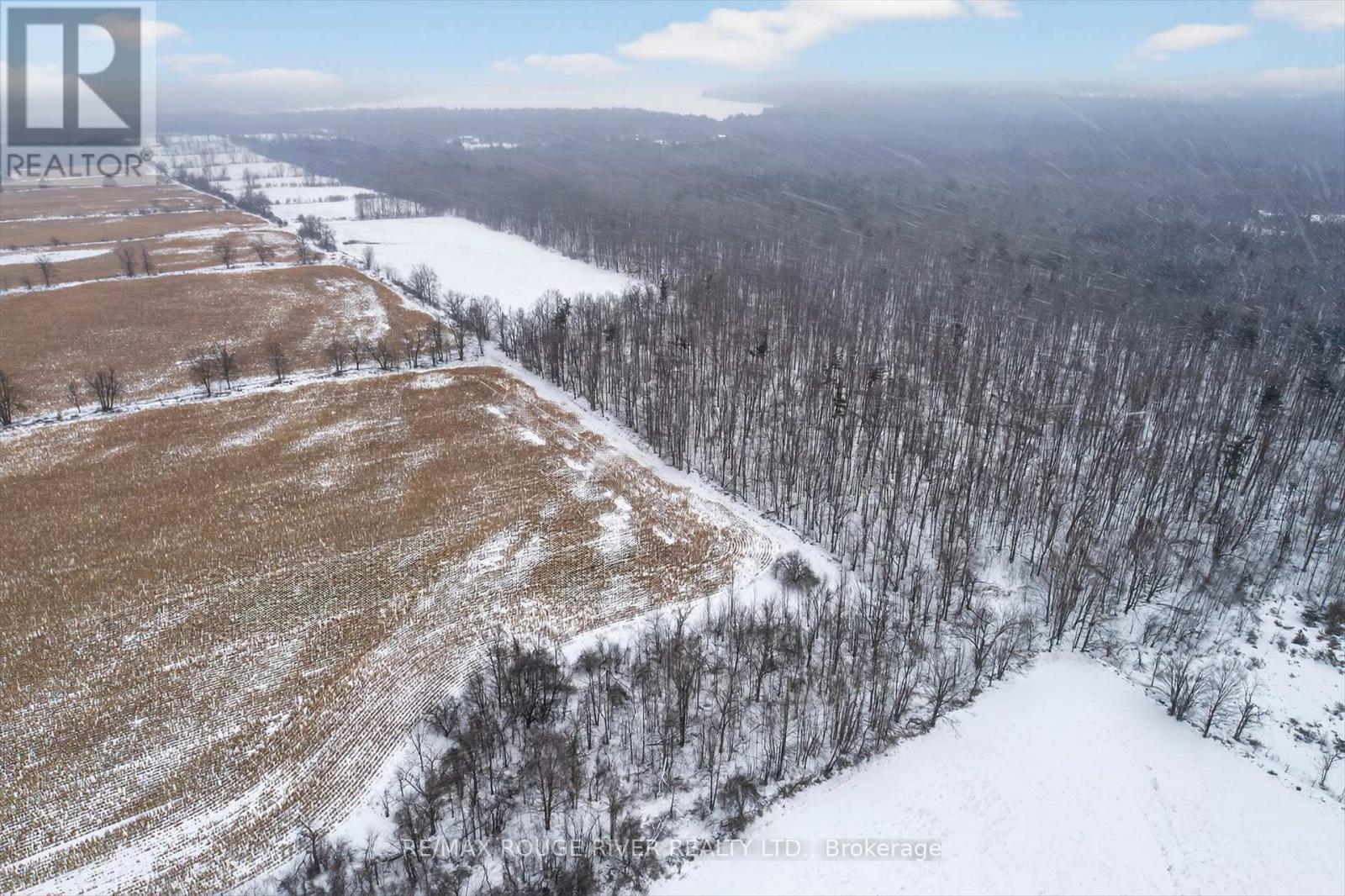 2401 15th Line, Selwyn, Ontario  K0L 2H0 - Photo 39 - X12696162