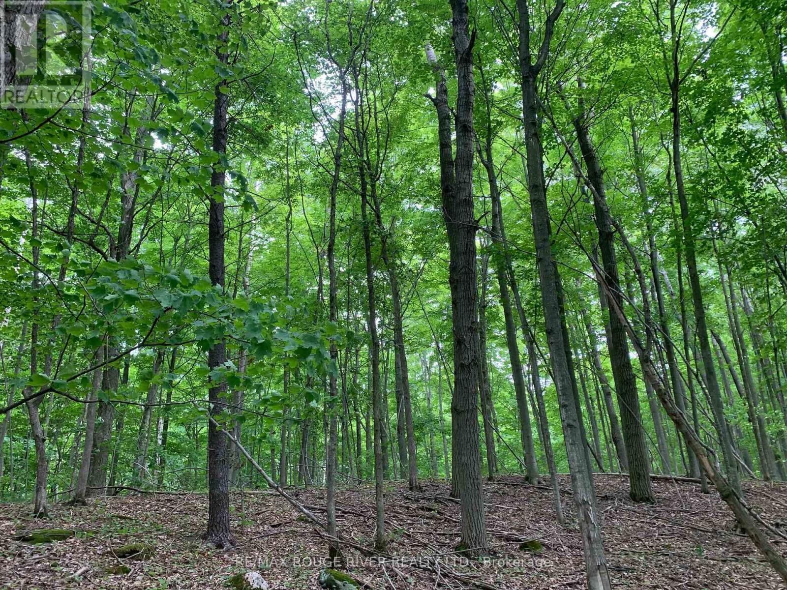 2401 15th Line, Selwyn, Ontario  K0L 2H0 - Photo 40 - X12696162