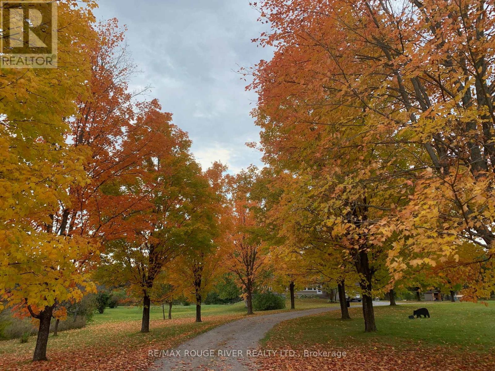 2401 15th Line, Selwyn, Ontario  K0L 2H0 - Photo 41 - X12696162