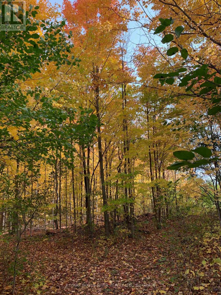2401 15th Line, Selwyn, Ontario  K0L 2H0 - Photo 43 - X12696162
