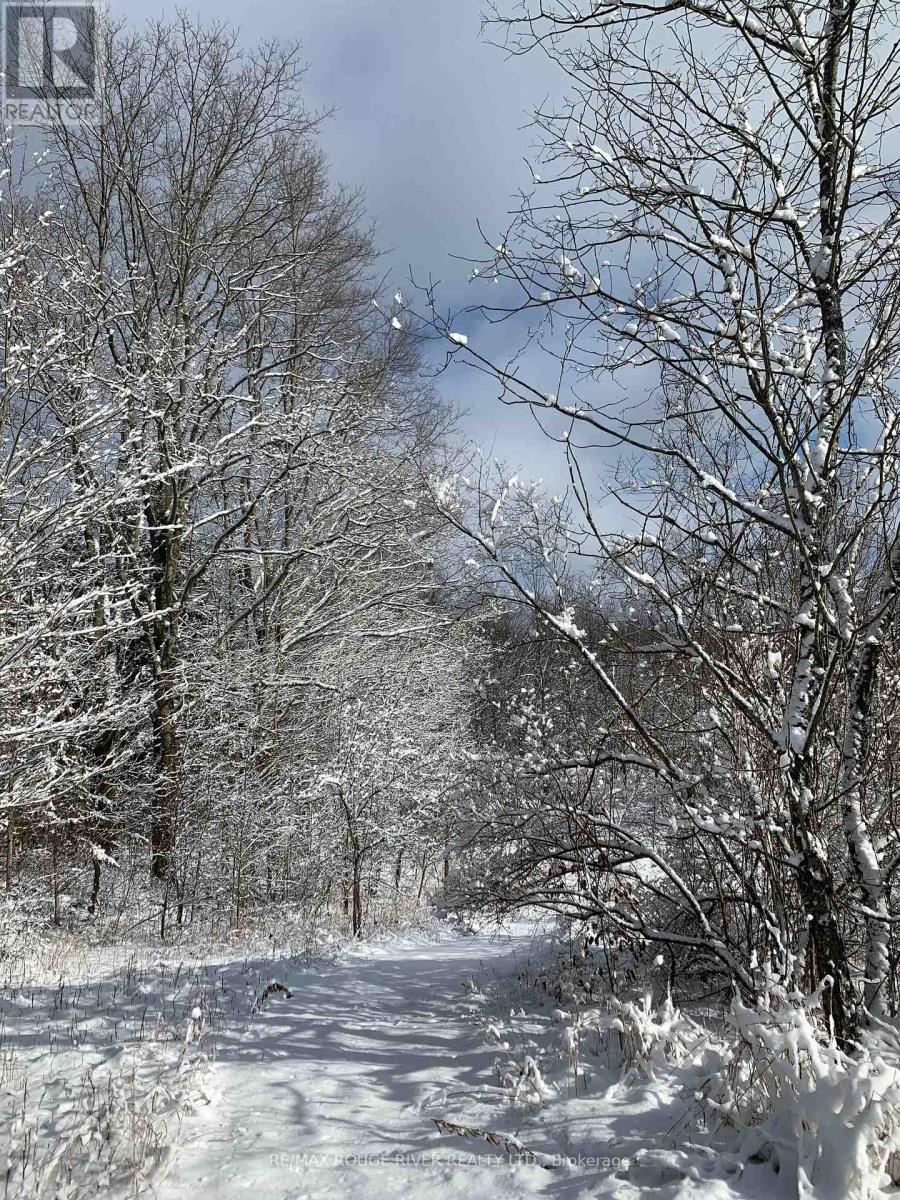 2401 15th Line, Selwyn, Ontario  K0L 2H0 - Photo 44 - X12696162