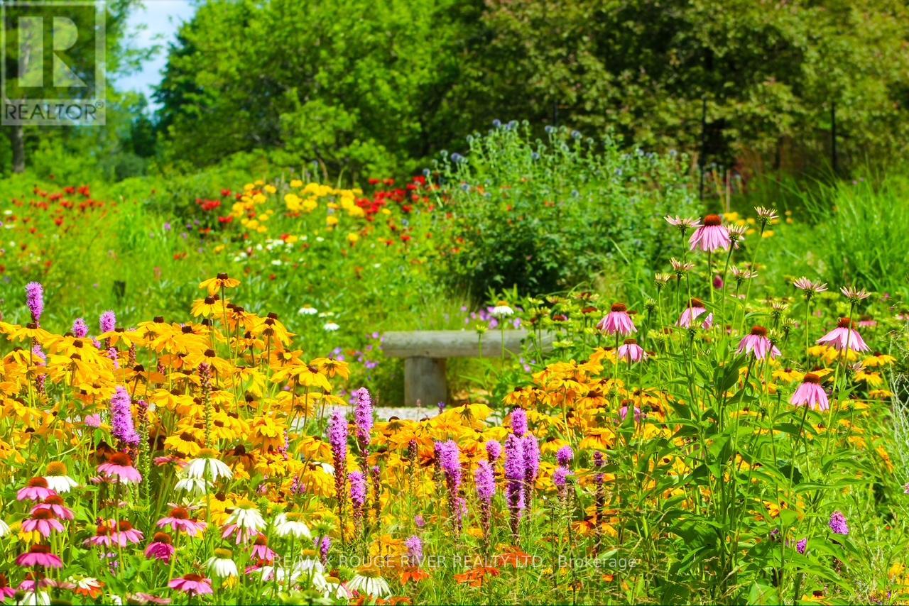 2401 15th Line, Selwyn, Ontario  K0L 2H0 - Photo 45 - X12696162