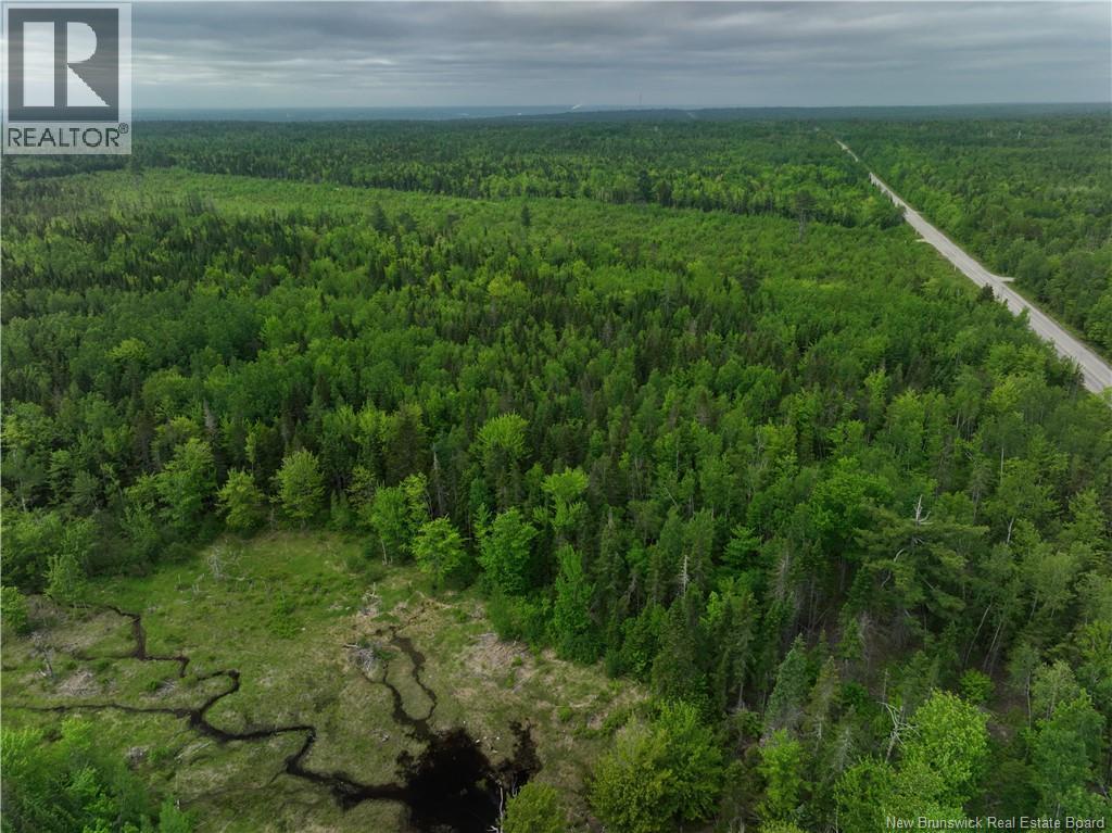 Oldfield Road, Bartibog, New Brunswick  E1V 6L4 - Photo 6 - NB082894