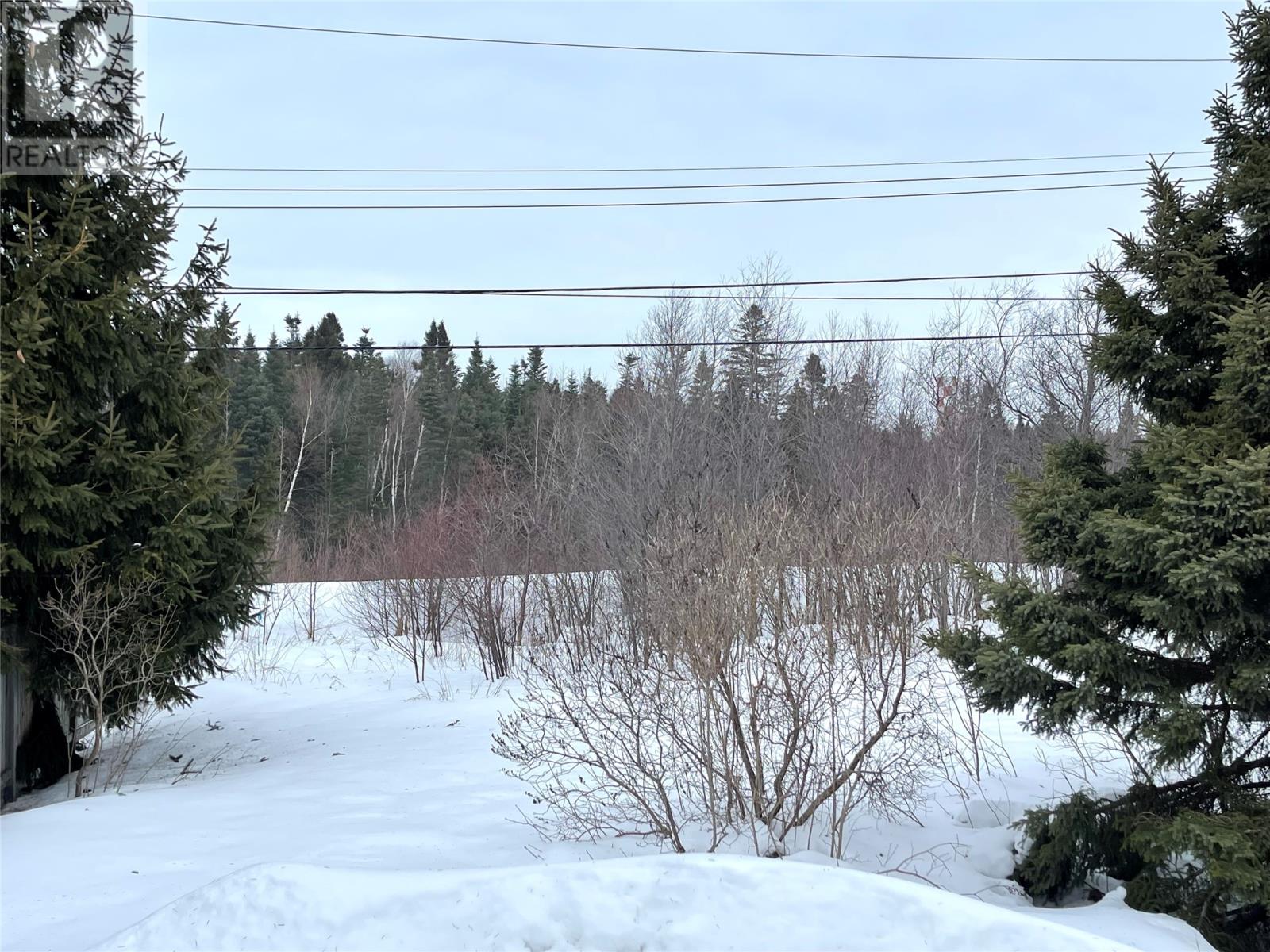 27 Marshalls Drive, Bishops Falls, Newfoundland & Labrador  A0H 1C0 - Photo 2 - 1293658