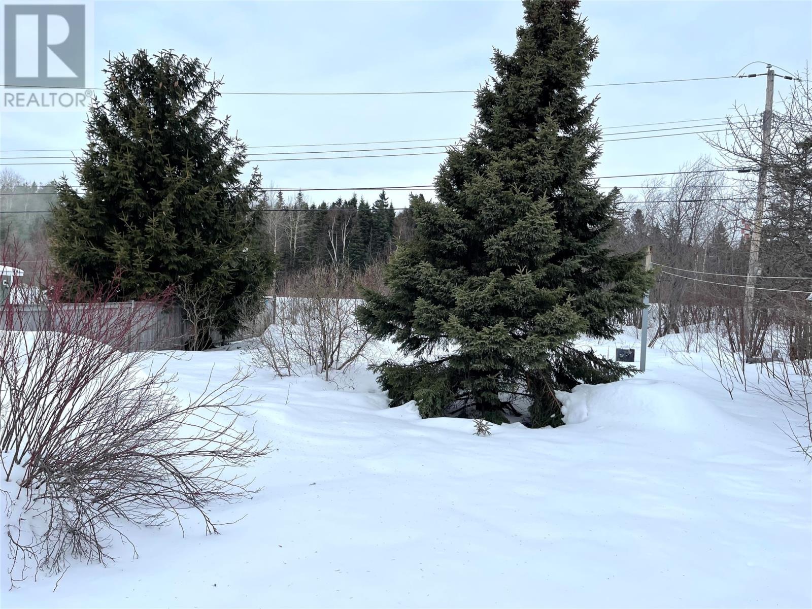 27 Marshalls Drive, Bishops Falls, Newfoundland & Labrador  A0H 1C0 - Photo 3 - 1293658