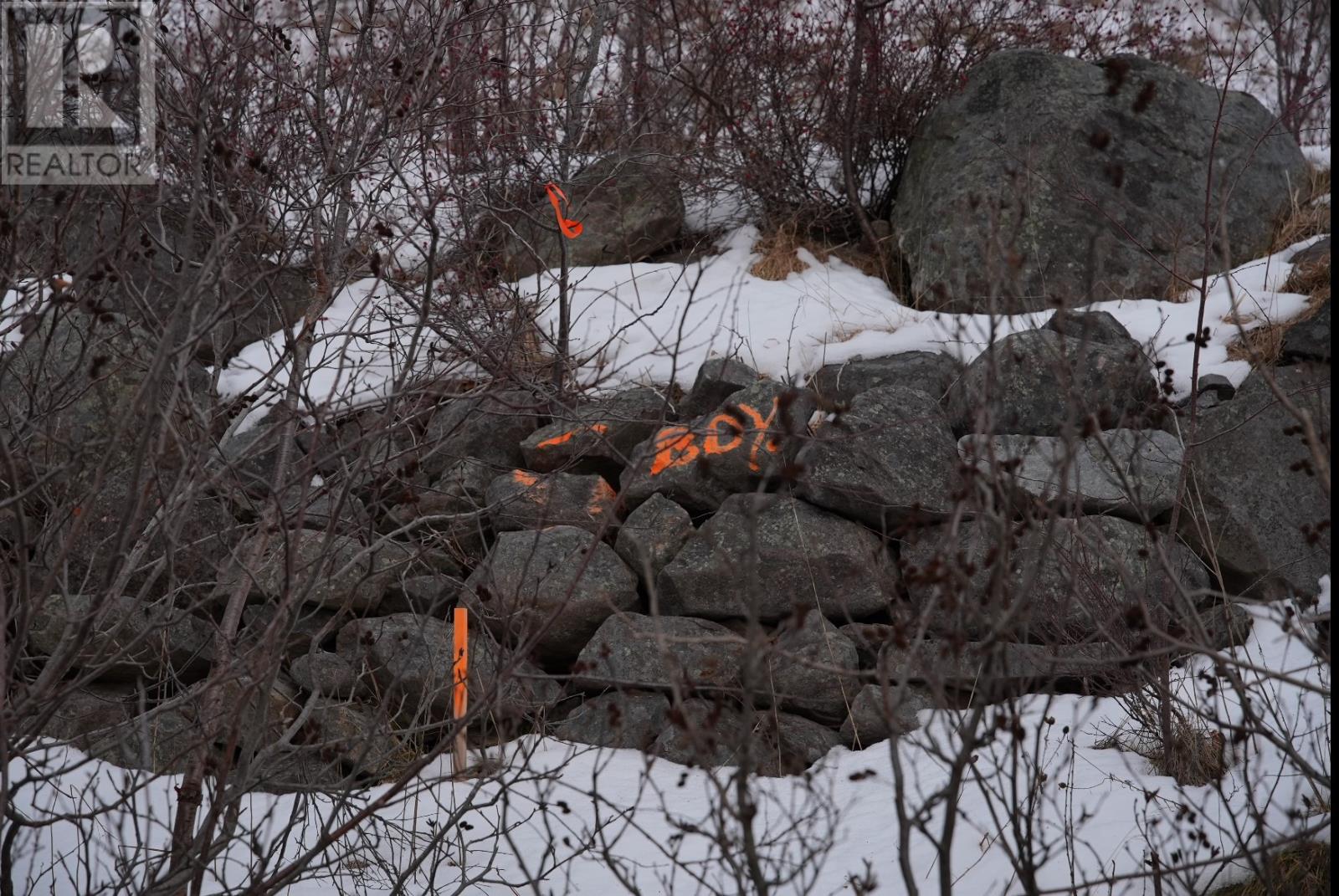 Lot 4 Old Maddox Cove Road, Maddox Cove, Newfoundland & Labrador  A0A 3H0 - Photo 13 - 1293782