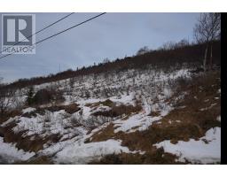 Lot 4 OLD MADDOX COVE Road, MADDOX COVE, Newfoundland & Labrador