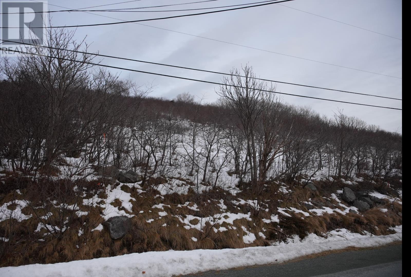 Lot 3 Old Maddox Cove Road, Maddox Cove, Newfoundland & Labrador  A0A 3H0 - Photo 12 - 1293781