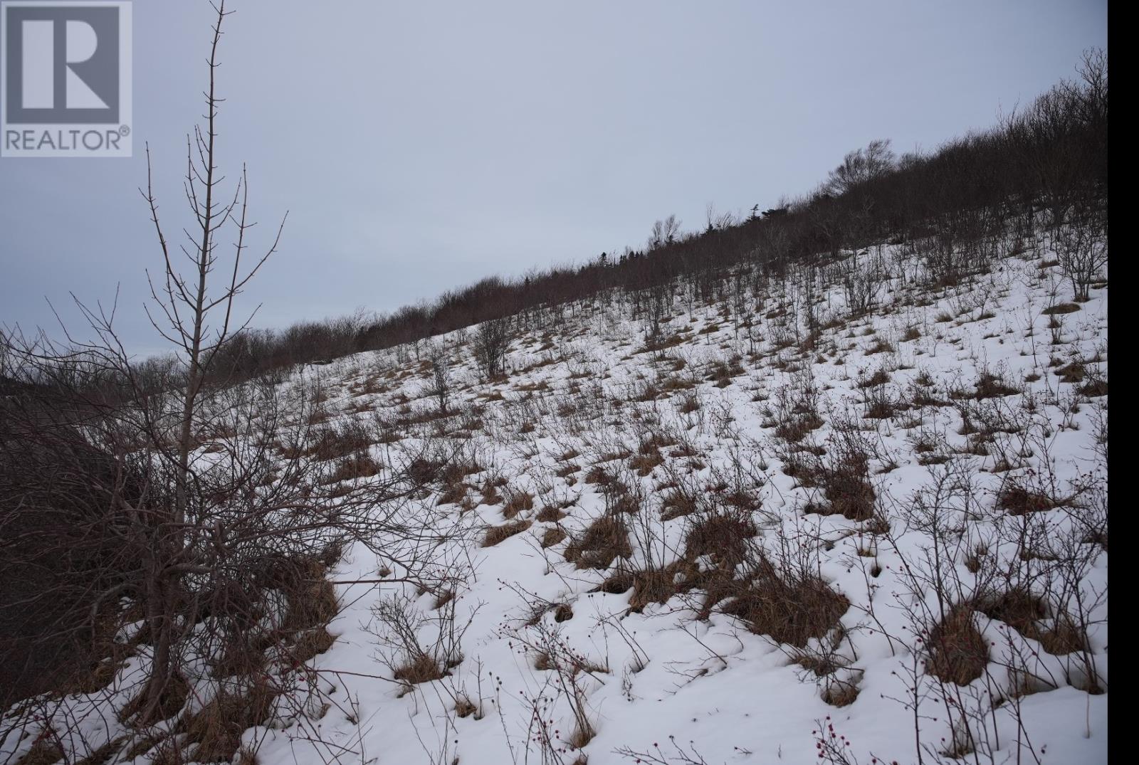 Lot 2 Old Maddox Cove Road, Maddox Cove, Newfoundland & Labrador  A0A 3H0 - Photo 19 - 1293776