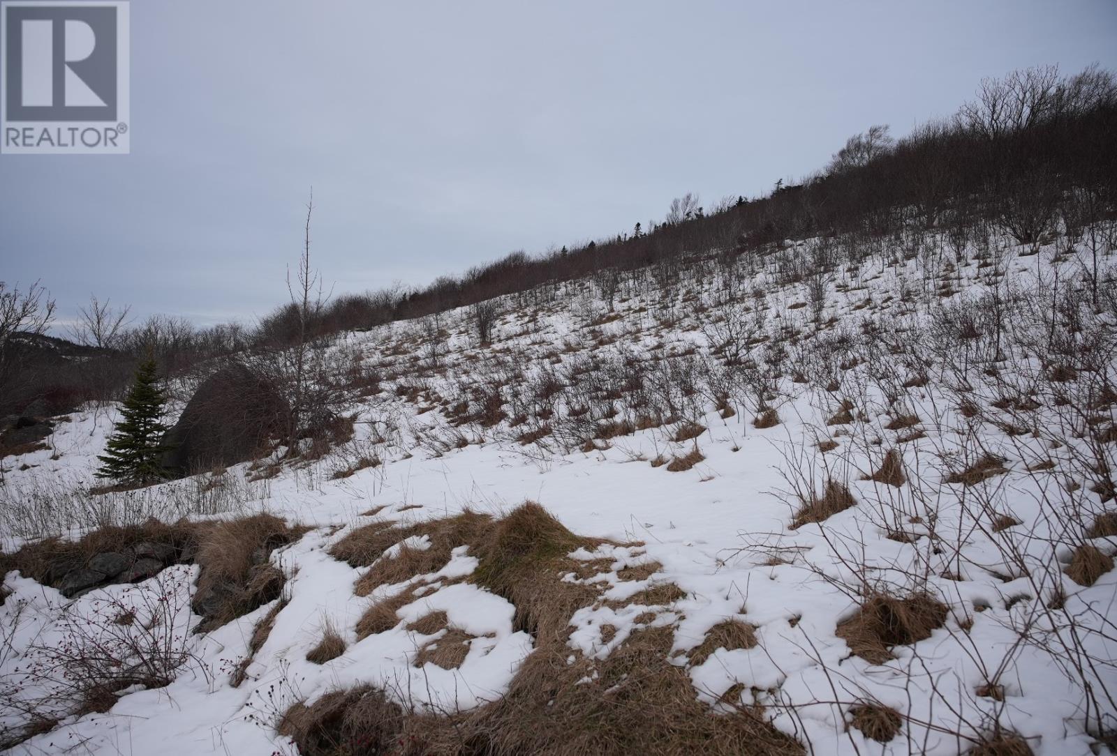 Lot 2 Old Maddox Cove Road, Maddox Cove, Newfoundland & Labrador  A0A 3H0 - Photo 3 - 1293776