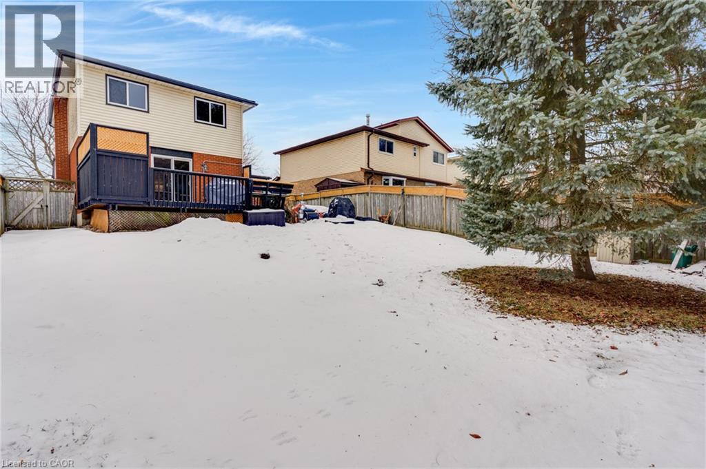 34 Rosebank Crescent, Kitchener, Ontario  N2E 2R4 - Photo 25 - 40797743