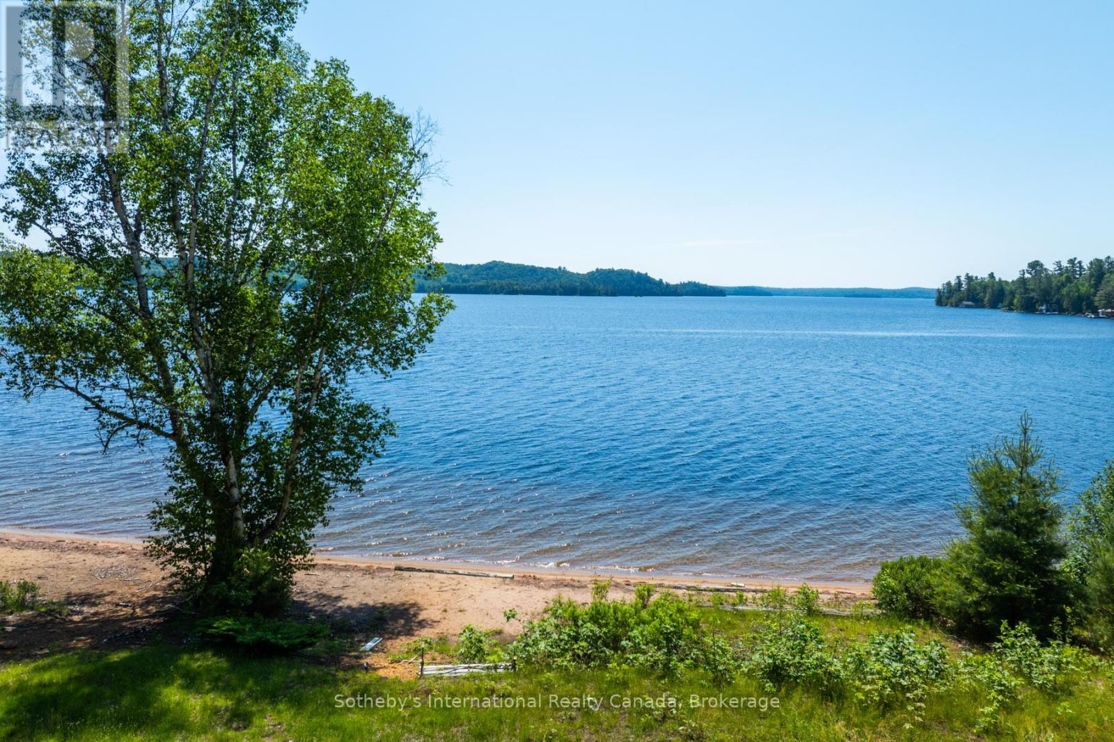 2447 South Portage Road, Lake Of Bays, Ontario L8H 6Z4 - Photo 10 - X12696784