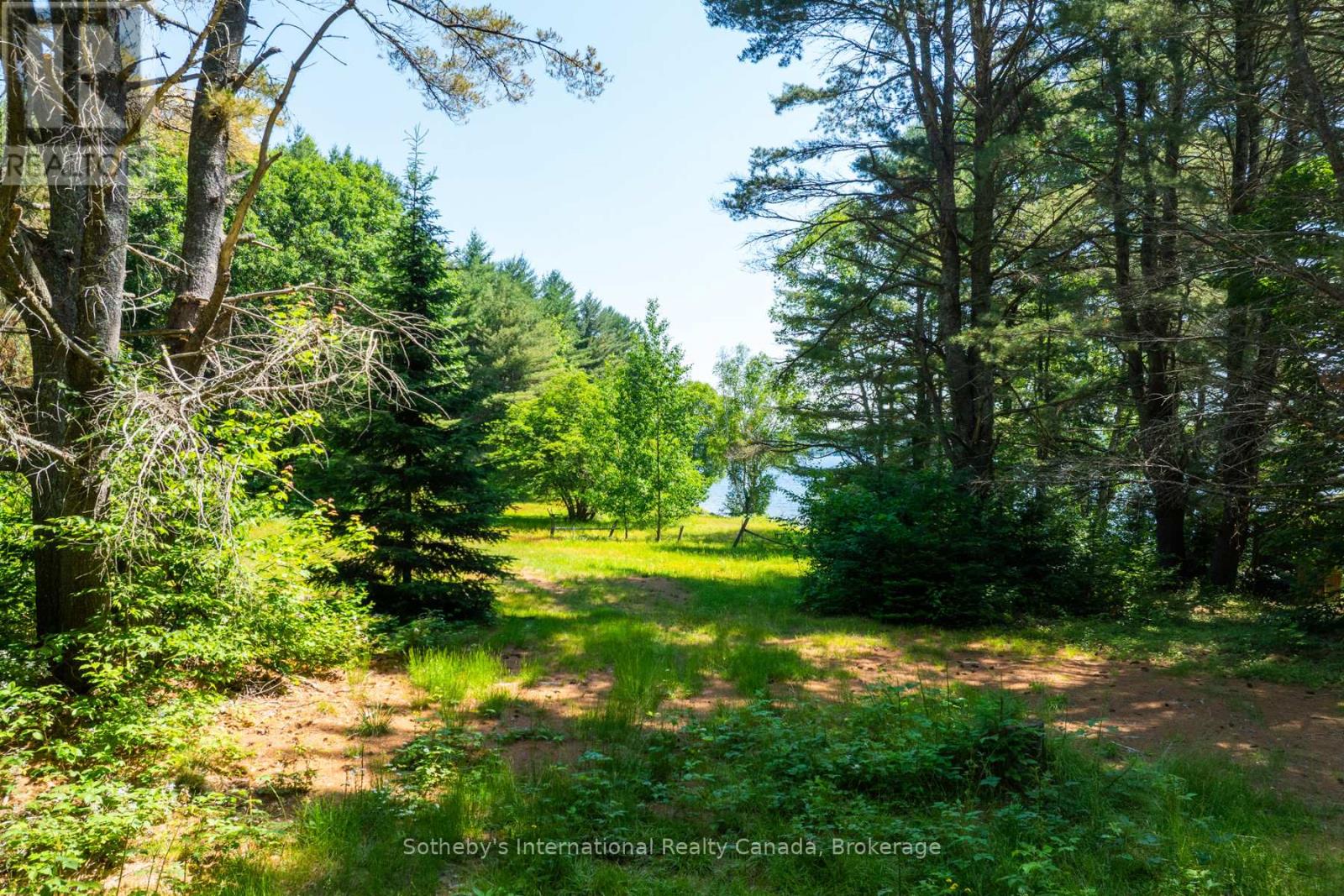 2447 South Portage Road, Lake Of Bays, Ontario L8H 6Z4 - Photo 15 - X12696784