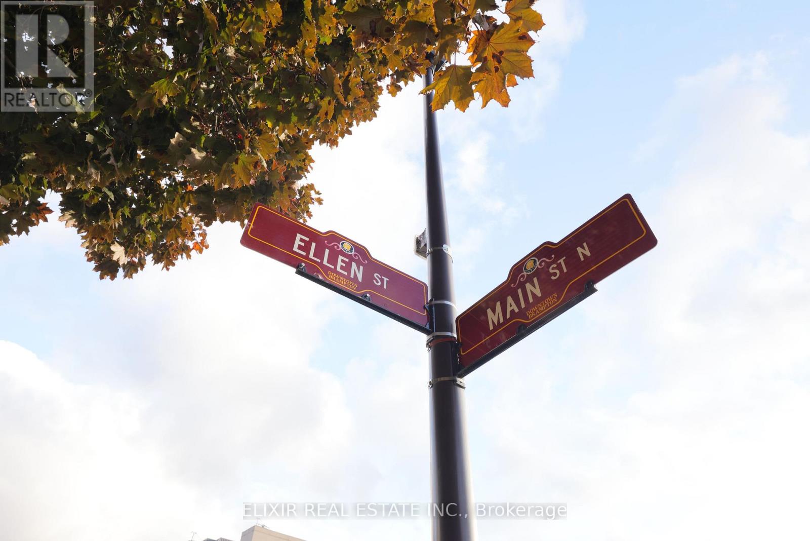 204 Main Street N, Brampton, Ontario  L6V 1P1 - Photo 6 - W12696458