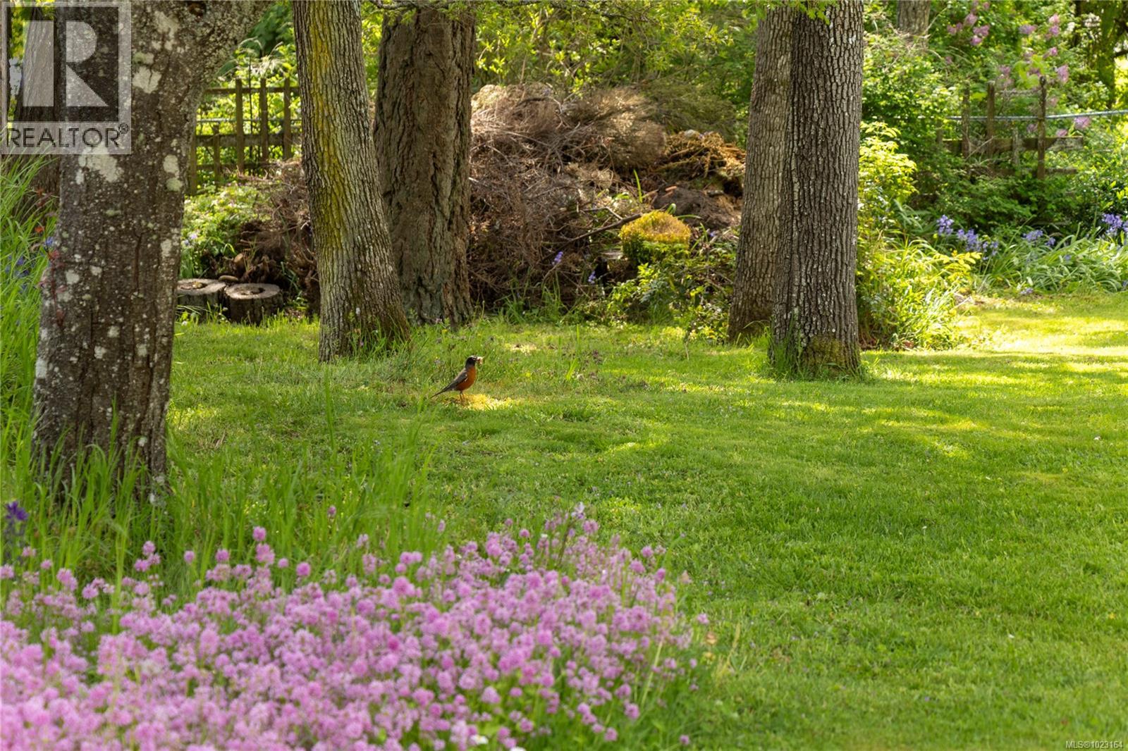 3815 Wilkinson Rd, Saanich, British Columbia  V8Z 5A3 - Photo 36 - 1023164