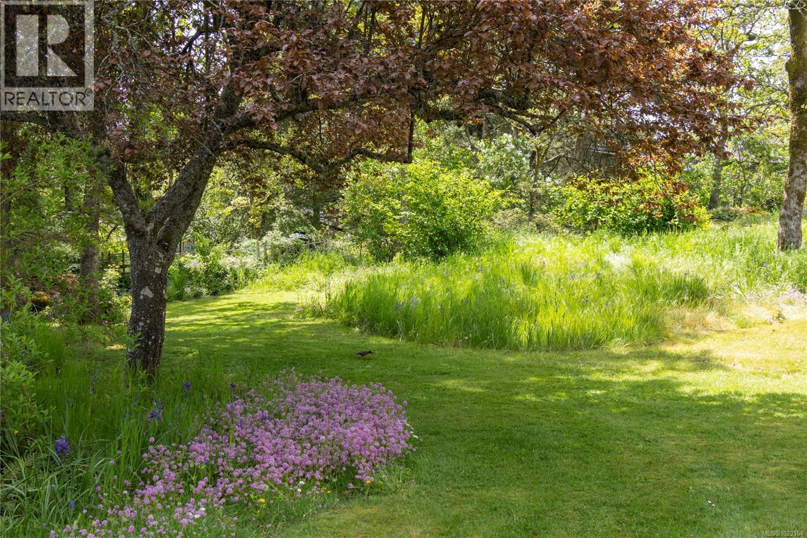 3815 Wilkinson Rd, Saanich, British Columbia  V8Z 5A3 - Photo 37 - 1023164