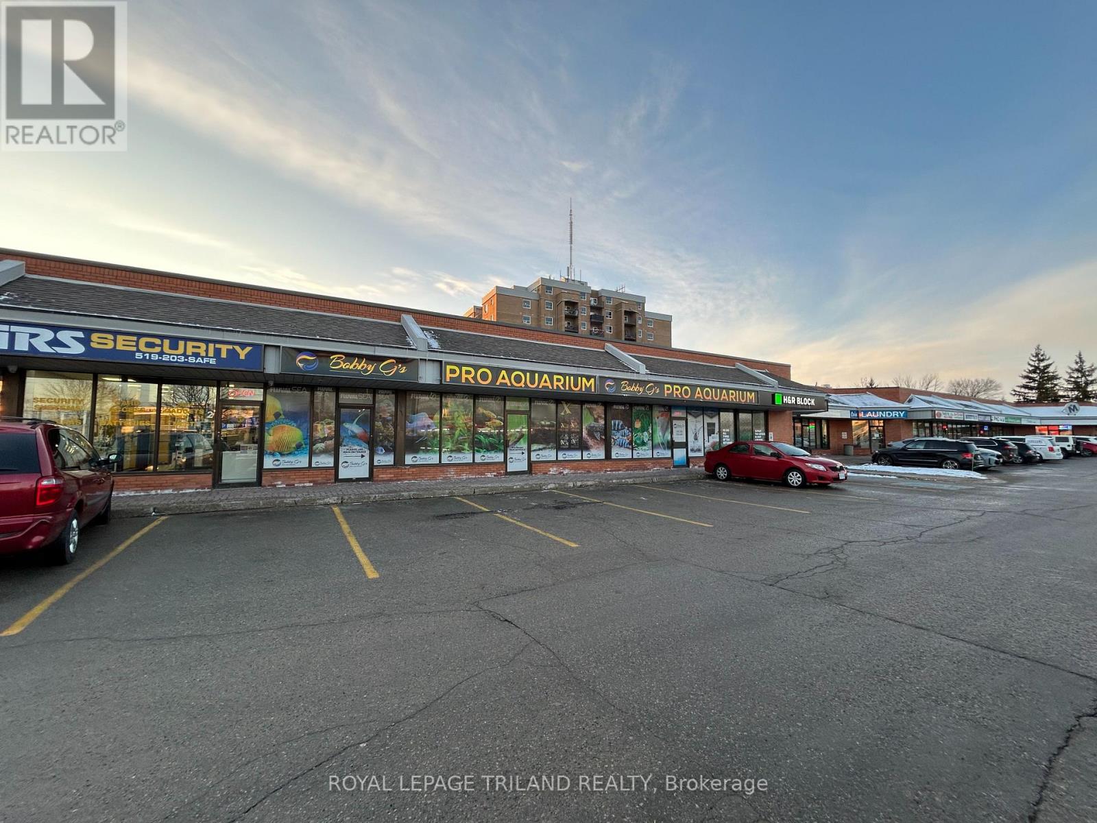 5-6 - 99 Belmont Drive, London South, Ontario  N6J 4K2 - Photo 1 - X12696788