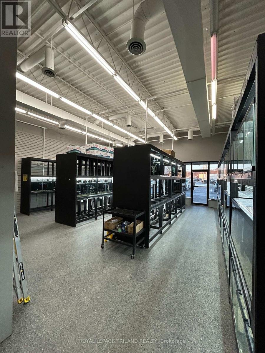 3-6 - 99 Belmont Drive, London South, Ontario  N6J 4K2 - Photo 4 - X12696786